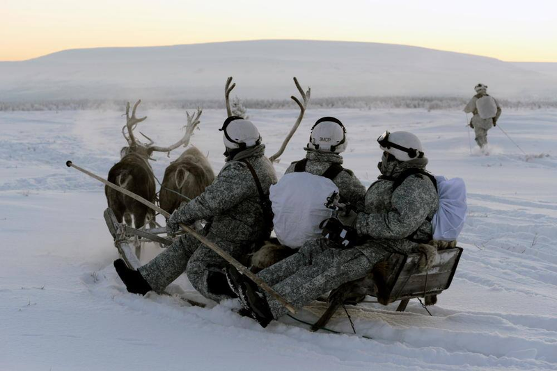 Illustration for article titled Russian Soldiers Go Native For Arctic Ops Using Reindeer And DogsledsĀ